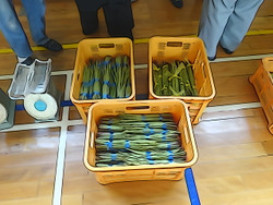 Dsc00072_2