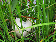 Img_1772