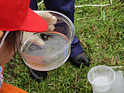 Img_1777