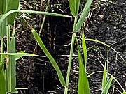 Img_2504_2