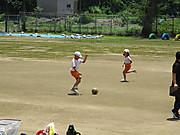 Img_2582
