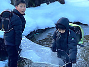 Img_7294_2
