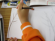 Img_8624
