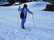 Img_8651
