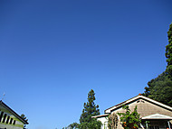 Img_5146